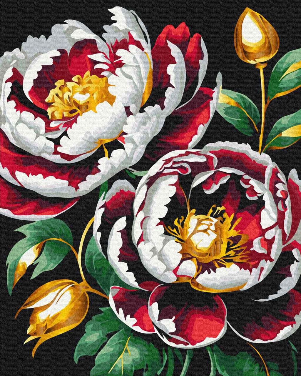 Багряні півонії @k_hryhorieva